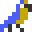 Cave Pirate Parrot