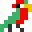 Cave Pirate Macaw
