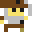 Pirate Captain