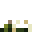 Bonefly Nest