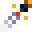 Sword of Splendor