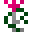 Bella's Key