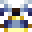 The Holy Robe